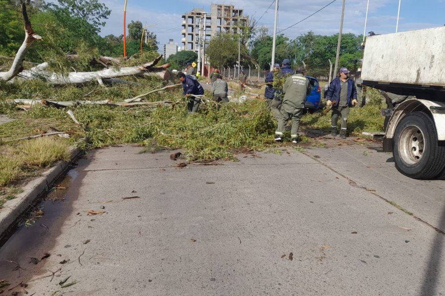 Municipalidad de la Capital activa Comité de Emergencia por daños tras fuertes vientos