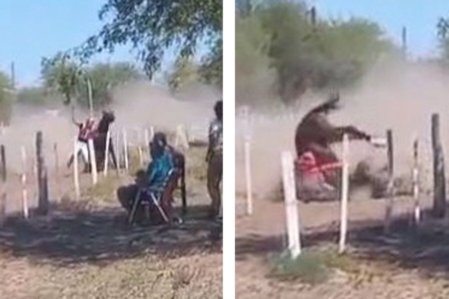 Tragedia en Añatuya: Murió jockey tras ser aplastado por su caballo en una carrera cuadrera