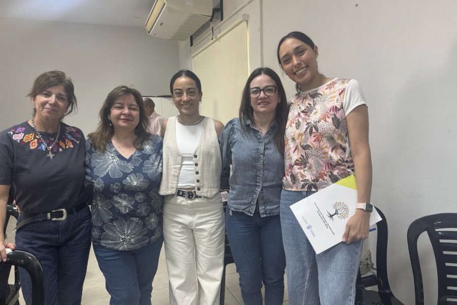 El IPRI realizó la segunda Jornada Internacional sobre atención temprana