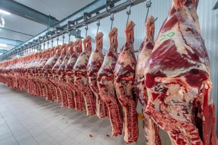 Rumbo a 2026: El Gobierno lanza la inscripción para el renovado cupo de carne a Estados Unidos Rumbo a 2026: El Gobierno lanza la inscripción para el renovado cupo de carne a Estados Unidos