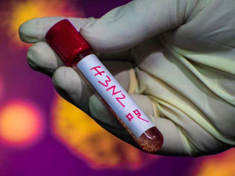 Confirmación de la variante H3N2 (Subclado K) en Argentina Confirmación de la variante H3N2 (Subclado K) en Argentina