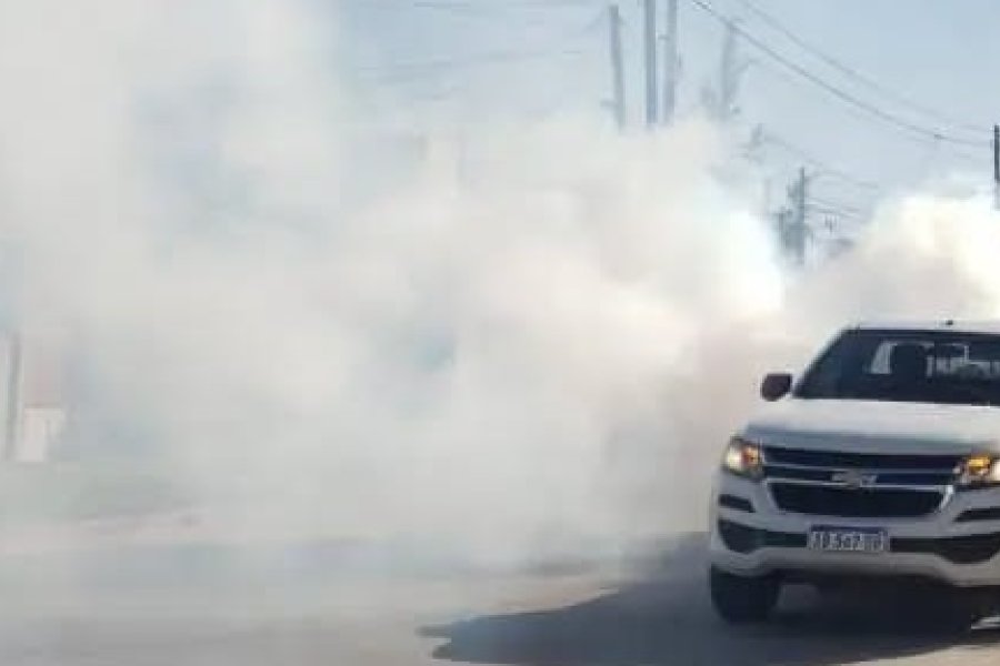 Cronograma de Fumigación: Operativo sanitario semanal