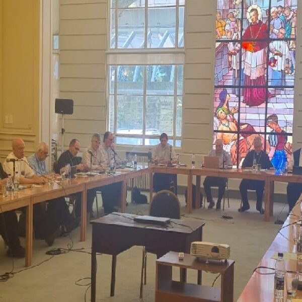 Bokalic Iglic intervino en la 201ª Reunión de la COA