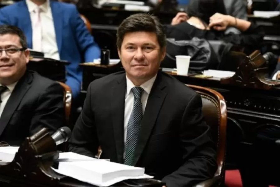 Insólito: Un diputado libertario agradeció el presupuesto de la oposición por error Insólito: Un diputado libertario agradeció el presupuesto de la oposición por error