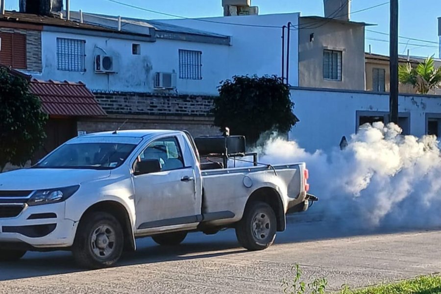 Plan estratégico de fumigación en la Capital