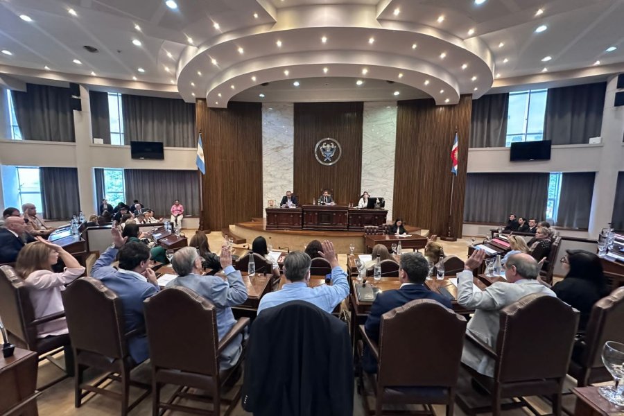 Paso firme en el control energético: La Legislatura designa nuevo Director en el ENRESE