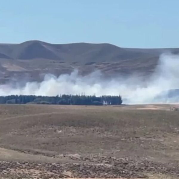 Emergencia en Neuquén: El fuego devasta 400 hectáreas en Junín de los Andes