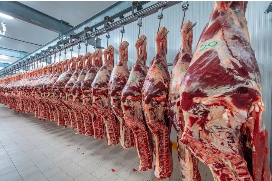 El fin de la «Era Dorada»: China impone un arancel del 55% y pone en jaque a la carne argentina