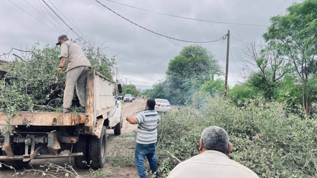 Vialidad realiza trabajos de despeje y acondicionamiento de caminos tras las intensas lluvias