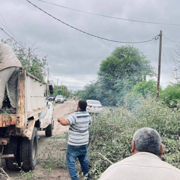 Vialidad realiza trabajos de despeje y acondicionamiento de caminos tras las intensas lluvias