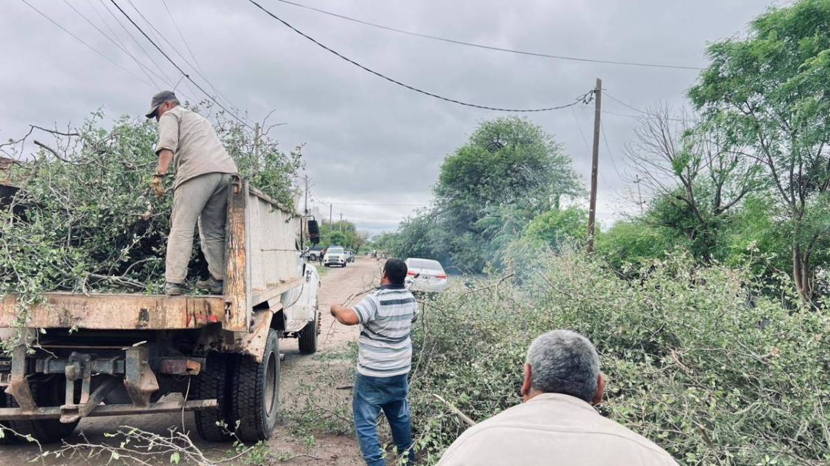 Vialidad realiza trabajos de despeje y acondicionamiento de caminos tras las intensas lluvias