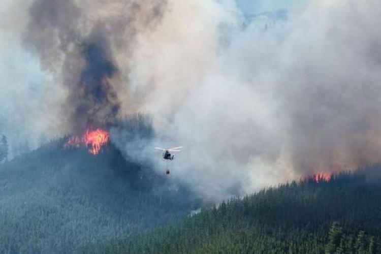 Julia Strada denuncia un ajuste del 70% en el Servicio Nacional de Manejo del Fuego