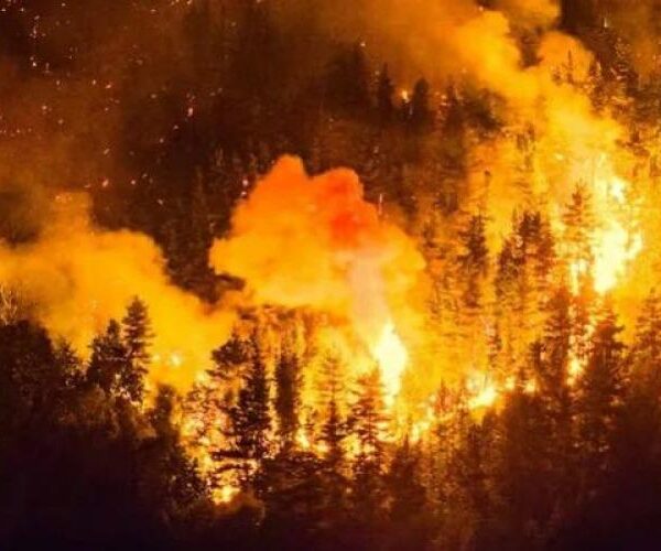 Epuyén declaró el Estado de Catástrofe ante el avance incontenible del fuego