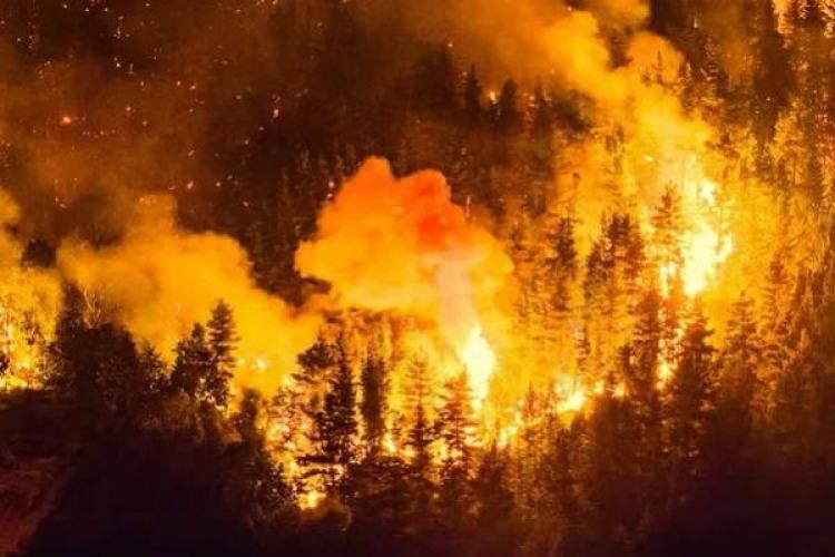 Epuyén declaró el Estado de Catástrofe ante el avance incontenible del fuego Epuyén declaró el Estado de Catástrofe ante el avance incontenible del fuego