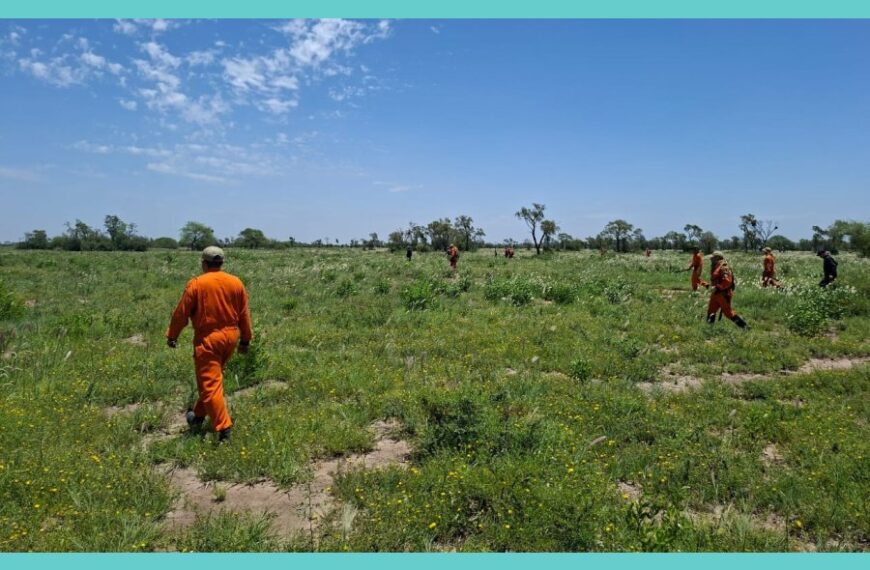 Alerta en el departamento Aguirre: Despliegan intensos rastrillajes para hallar a un vecino de 73 años desaparecido en Pinto