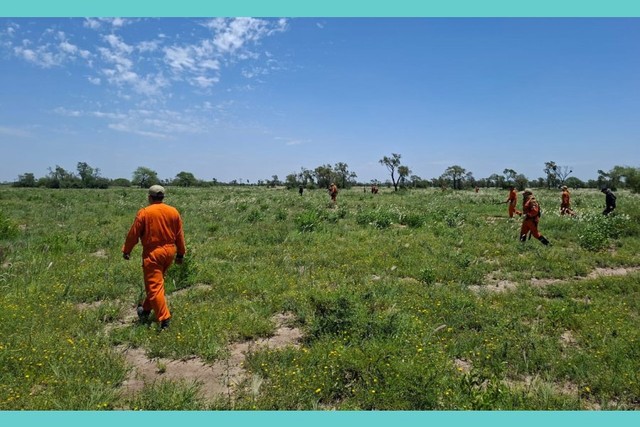 Alerta en el departamento Aguirre: Despliegan intensos rastrillajes para hallar a un vecino de 73 años desaparecido en Pinto
