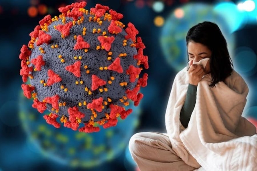 Alerta Epidemiológica: El avance del «subclado K» de la Gripe A en Argentina