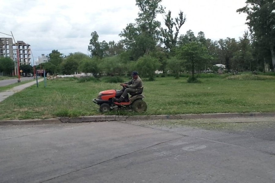Ciudad cuidada: La Capital intensifica el mantenimiento de espacios verdes y parques