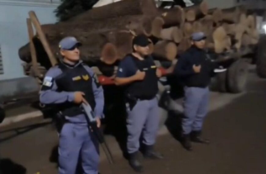 Secuestro de 115 rollos de quebracho: Golpe a la tala ilegal en el límite interprovincial