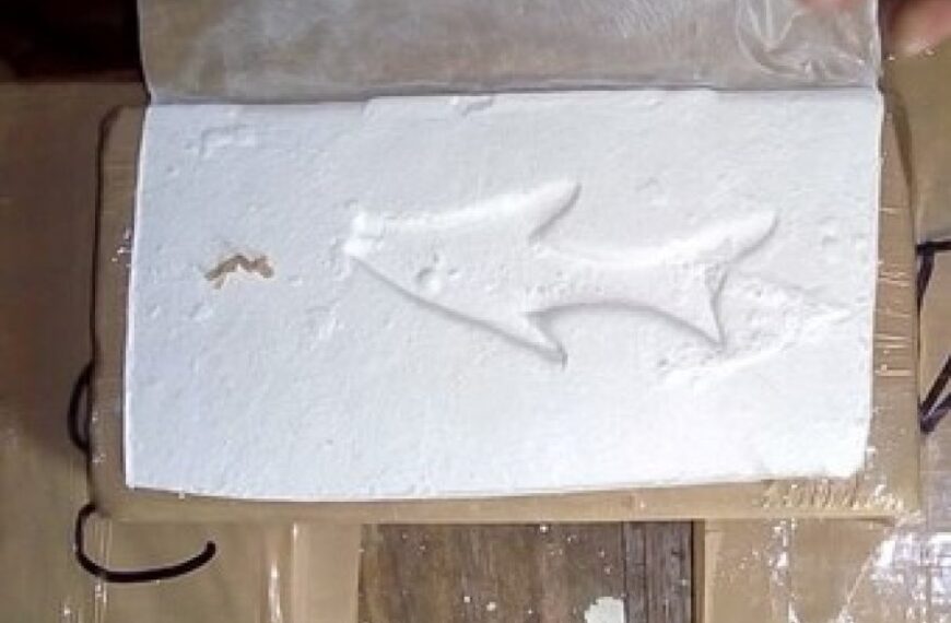 Ruta 9 interceptan cargamento de cocaína y detienen a dos santiagueños