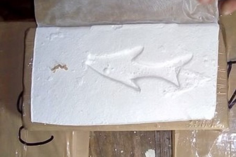 Ruta 9 interceptan cargamento de cocaína y detienen a dos santiagueños