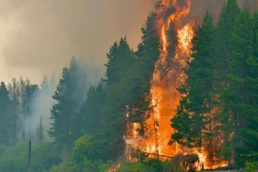 Chubut bajo fuego: El viento y la sequía complican el combate contra los incendios