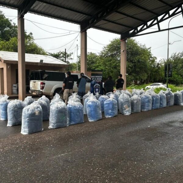 Golpe al tráfico de hojas de coca: Incautan más de 900 kg en el norte provincial