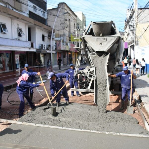Renovación urbana: Avanzan las obras de pavimentación en la calle Pellegrini