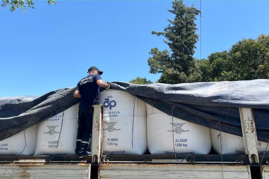 Golpe al narcotráfico en Córdoba: Incautaron 27 toneladas de un precursor clave para producir cocaína