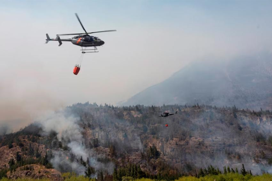 El «asado» patagónico: 45 mil hectáreas menos y un DNU para apagar el fuego con papeles El «asado» patagónico: 45 mil hectáreas menos y un DNU para apagar el fuego con papeles