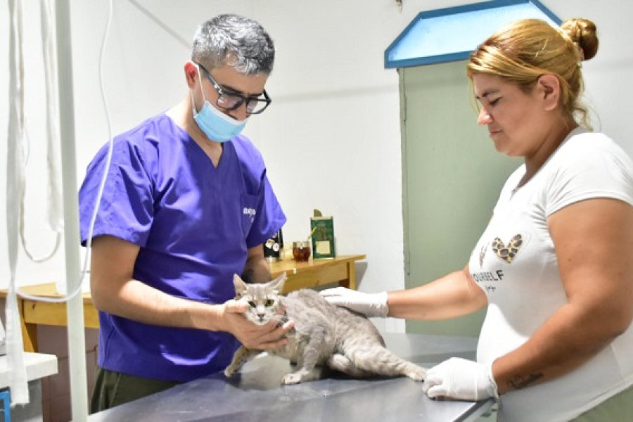 Frías: Reabren la sala de castraciones gratuitas tras una renovación total