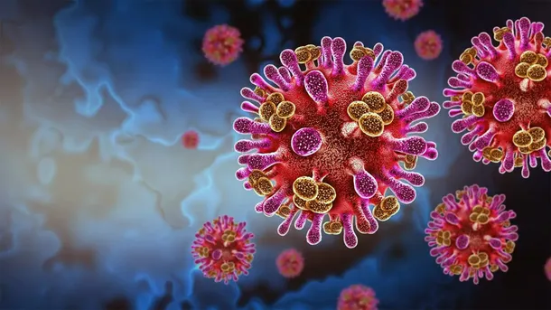 El virus Nipah bajo la lupa: La OMS estima un riesgo global bajo pese a su alta letalidad