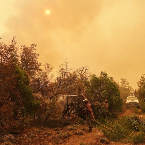 Emergencia Ígnea: Santa Cruz se suma al esquema de asistencia nacional por los incendios
