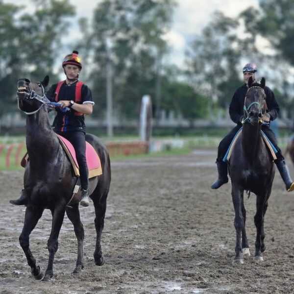 El Hipódromo 27 de Abril inaugura la temporada 2026 este domingo