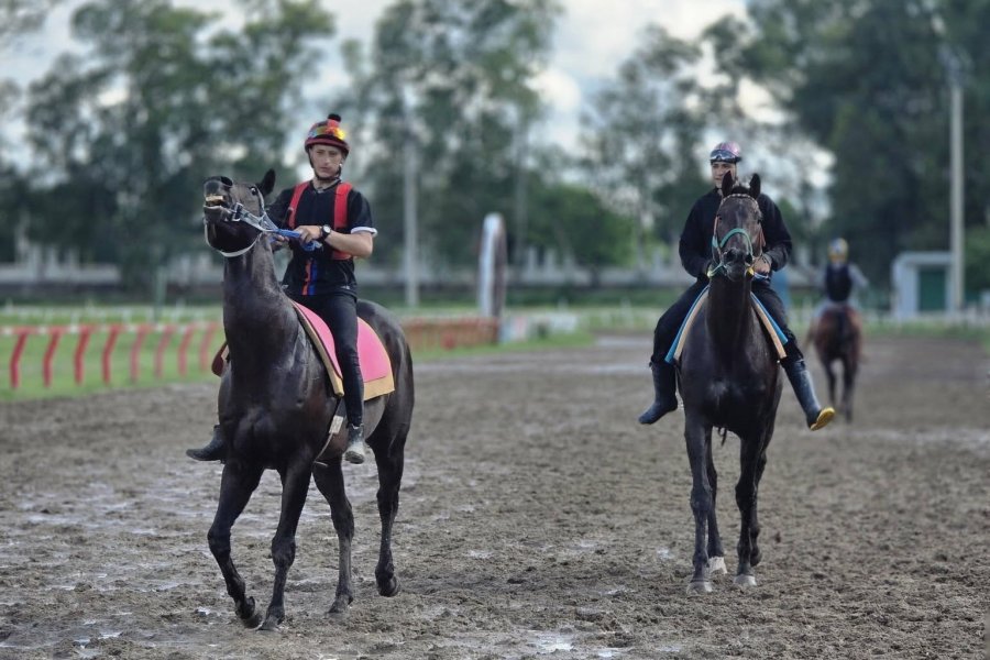 El Hipódromo 27 de Abril inaugura la temporada 2026 este domingo