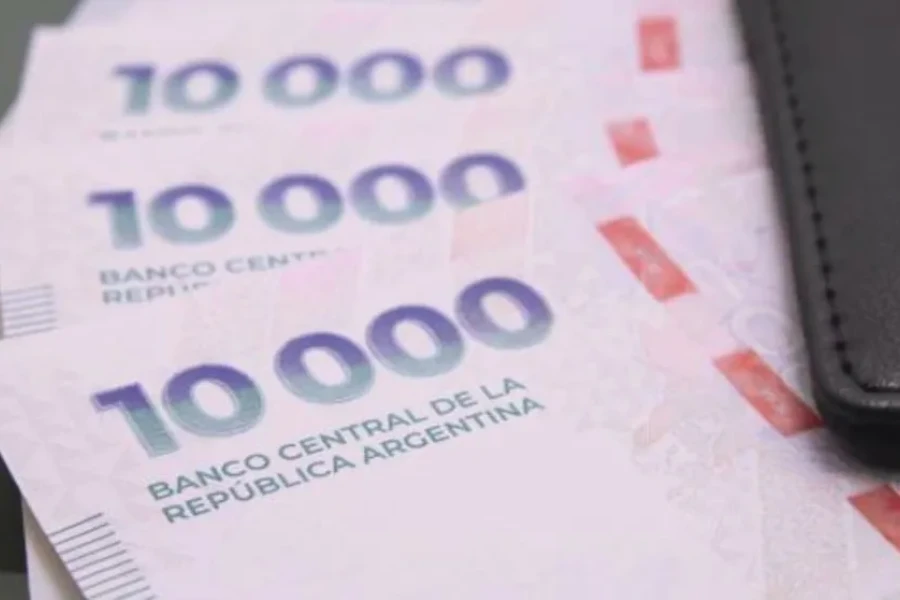 ANSES: Estos son los montos finales para AUH y Tarjeta Alimentar en febrero