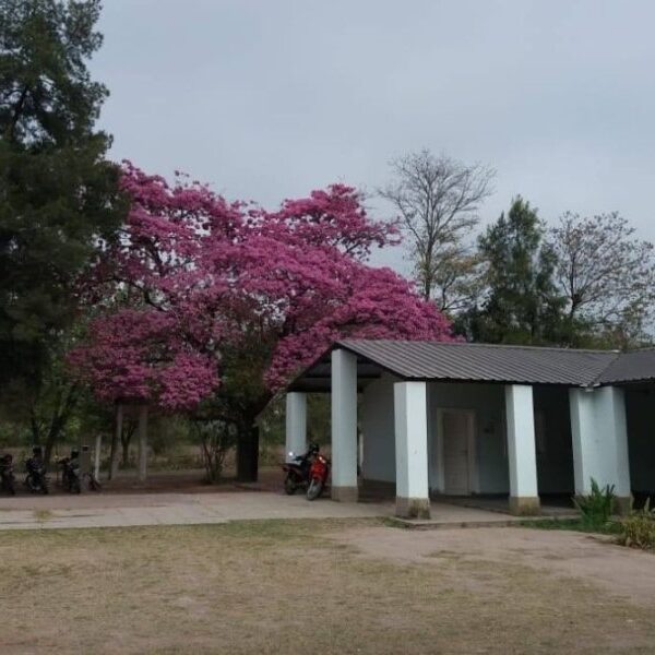 Robo en la Escuela de Los Ángeles: Delincuentes sustrajeron netbooks del Ministerio de Educación