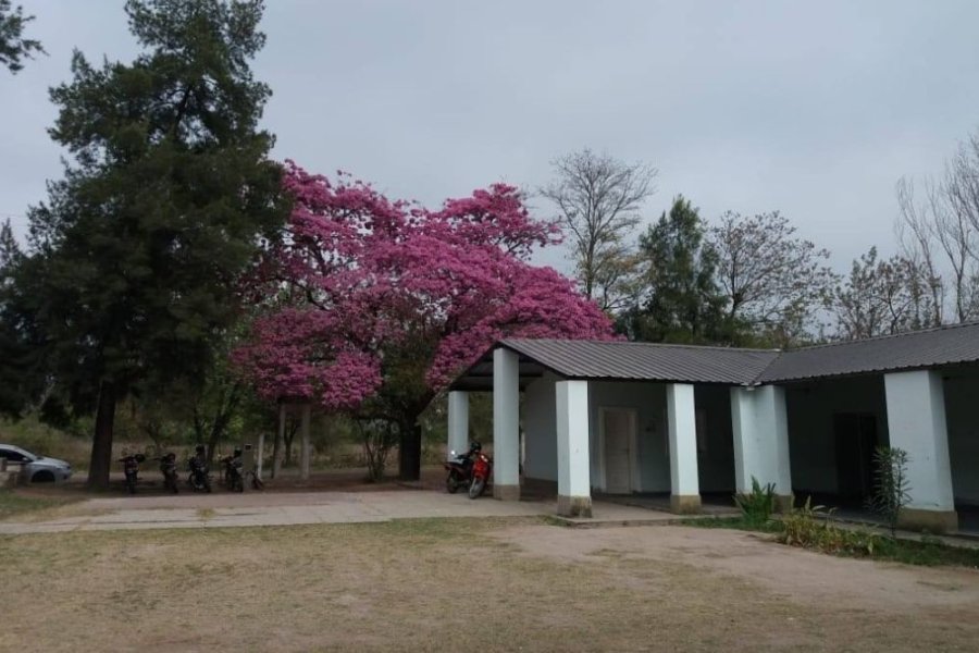 Robo en la Escuela de Los Ángeles: Delincuentes sustrajeron netbooks del Ministerio de Educación