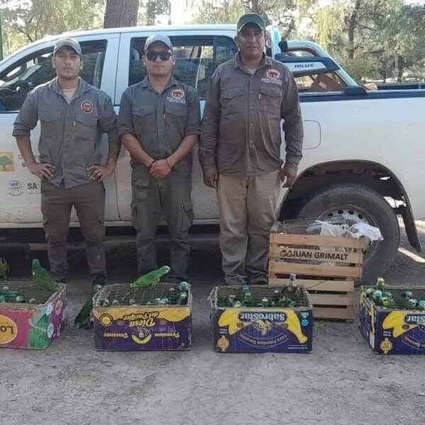 Desarticulan red de tráfico de fauna en Monte Quemado