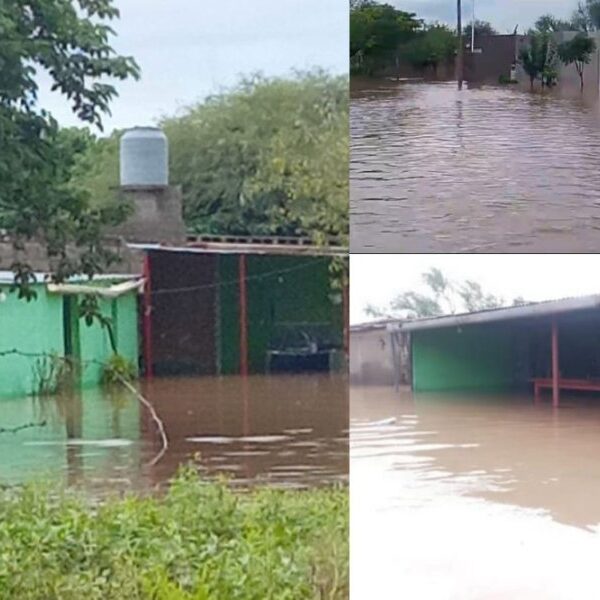 Desesperante situación en Guasayán: Familias bajo el agua tras el temporal en Lavalle