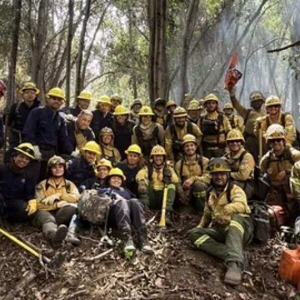 Logran contener el incendio en Los Alerces tras arrasar 16 mil hectáreas