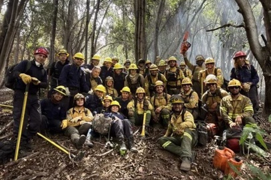 Logran contener el incendio en Los Alerces tras arrasar 16 mil hectáreas Logran contener el incendio en Los Alerces tras arrasar 16 mil hectáreas