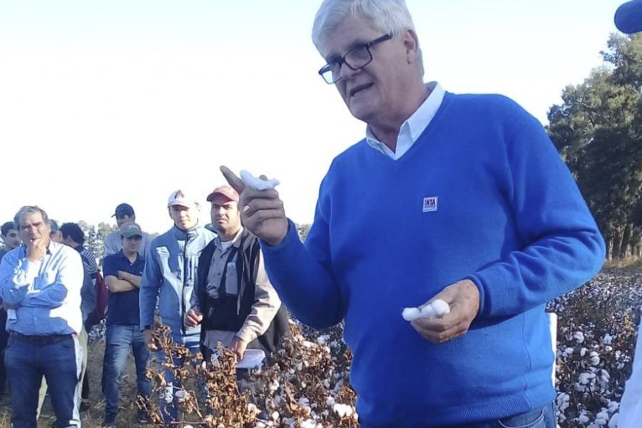El legado de Mario Mondino: Fin de una era en el INTA Santiago del Estero El legado de Mario Mondino: Fin de una era en el INTA Santiago del Estero