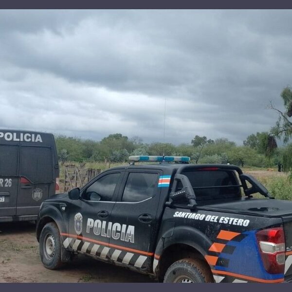 Faenaron un vacuno de 250 kilos en un campo de General Taboada y solo dejaron las vísceras