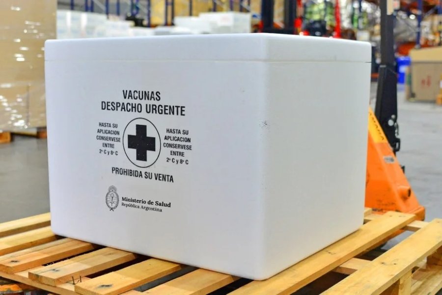 Vacunación antigripal 2026: La campaña nacional inicia el 11 de marzo para grupos prioritarios