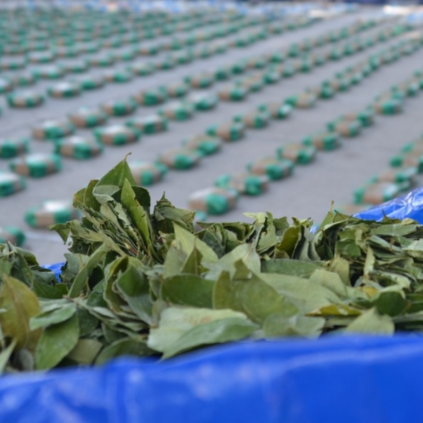 Golpe al contrabando en Pozo Hondo: Incautan más de 1.300 kilos de hoja de coca