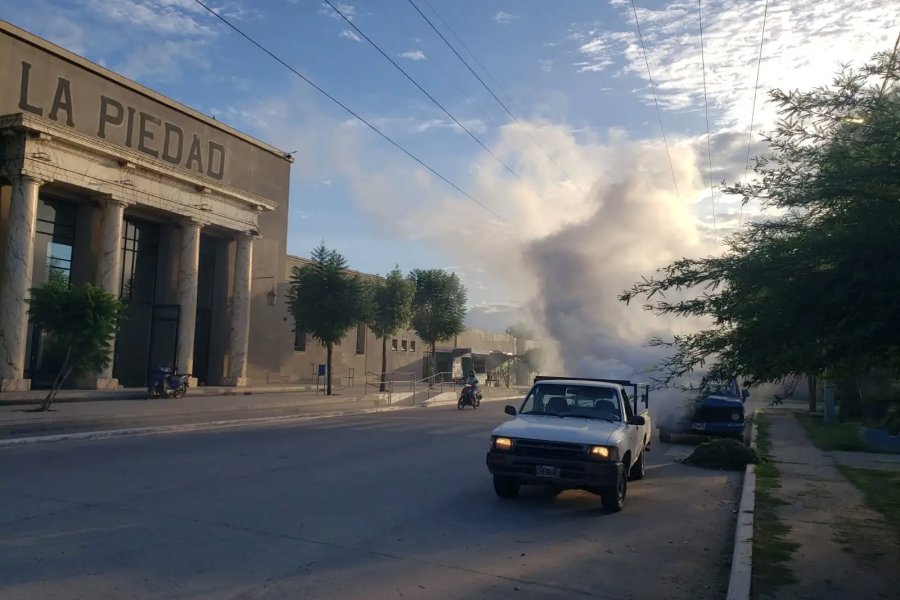 Operativo de fumigación en la Capital: Cronograma semanal de prevención