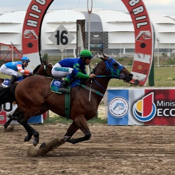 El Turf vuelve a vibrar: Este domingo en el Hipódromo 27 de Abril