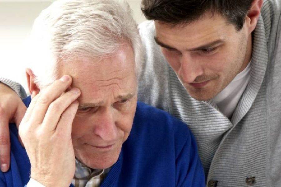 Avance revolucionario: Inmunoterapia celular logra «limpiar» el cerebro de Alzheimer en ratones