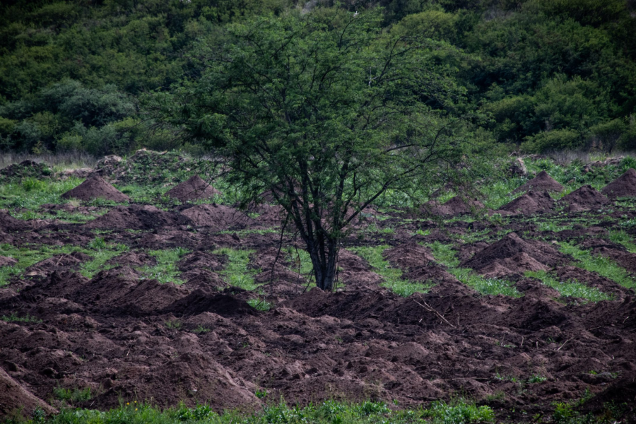 Identifican a 12 desaparecidos en una fosa común en el ex centro de detención La Perla